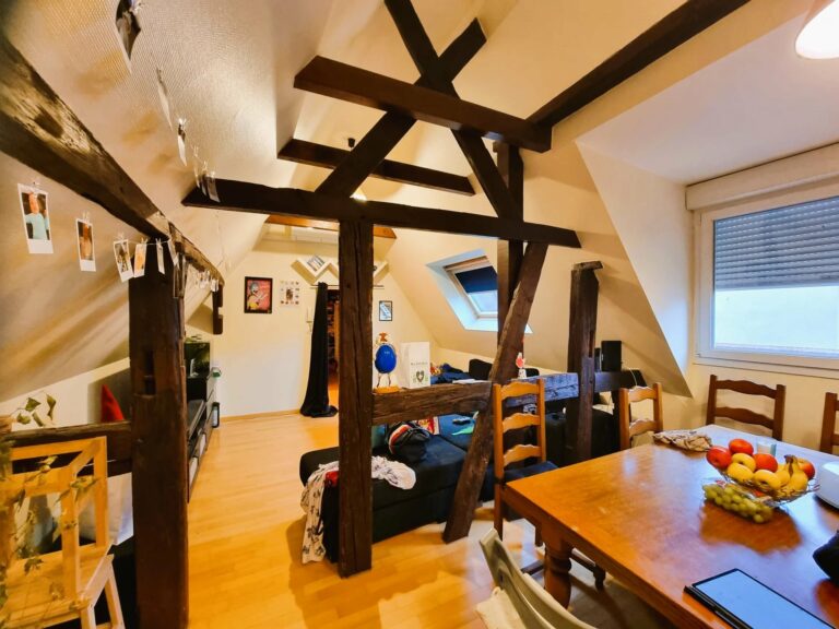 Investisseurs, Découvrez une Opportunité Exceptionnelle à Mommenheim ! 🌟 - Premi'home Agence immobilière Aix En Provence