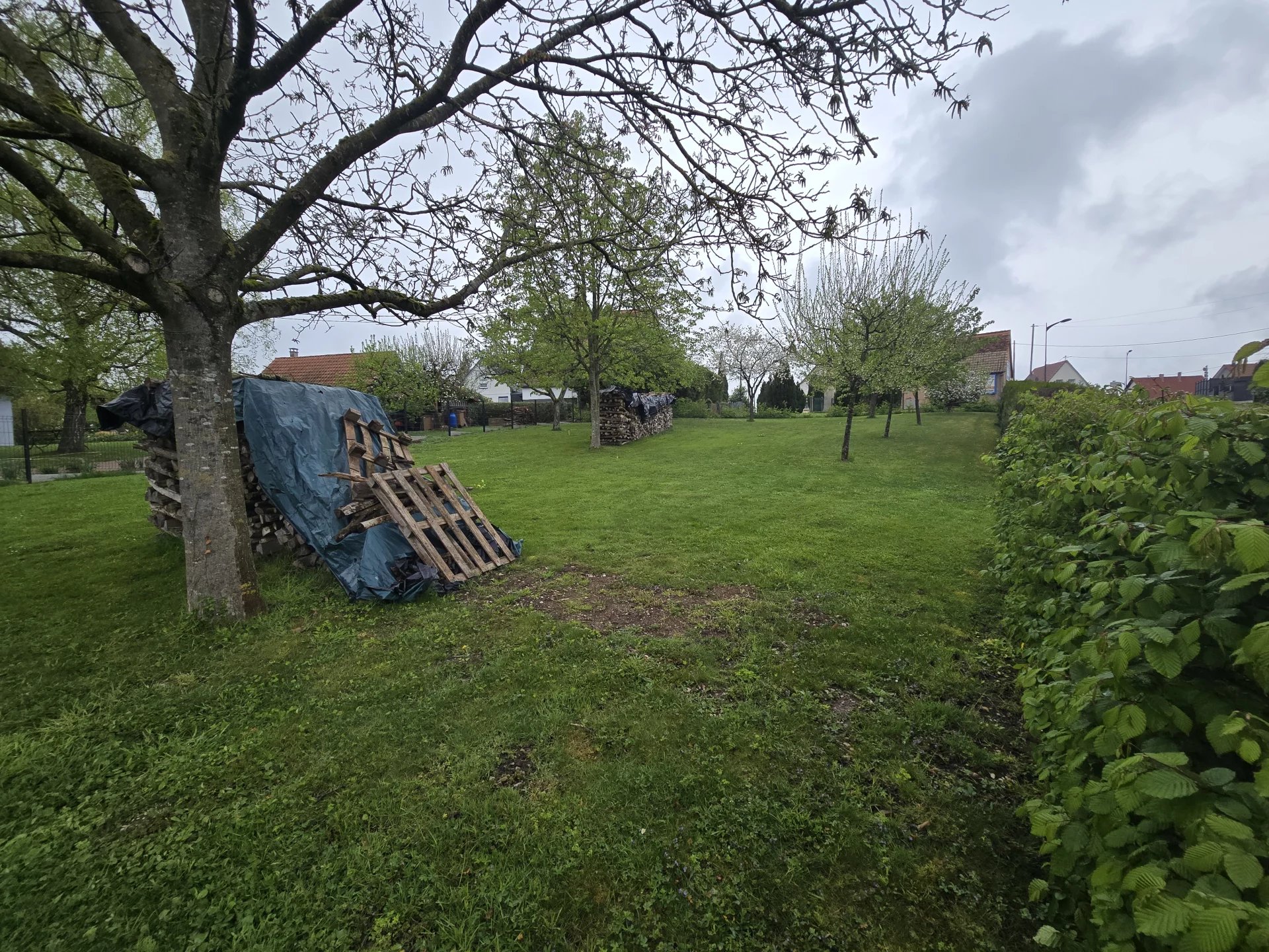 🏡 Terrain constructible à vendre – Walbourg (67360) - Premi'home Agence immobilière Aix En Provence