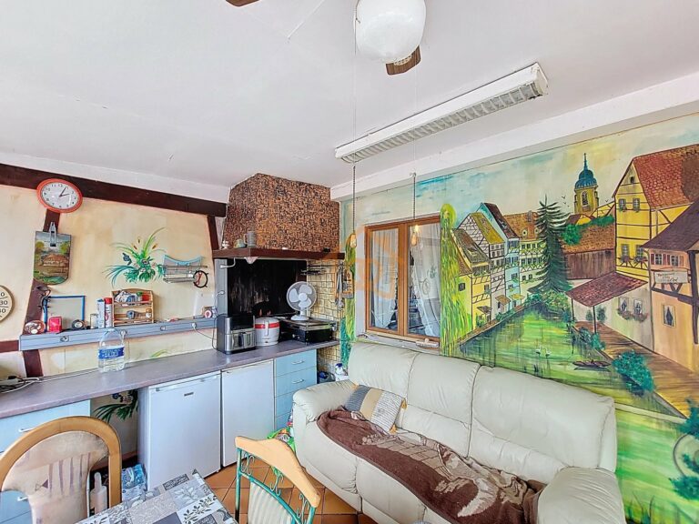 Maison individuelle à Haguenau - Premi'home Agence immobilière Aix En Provence