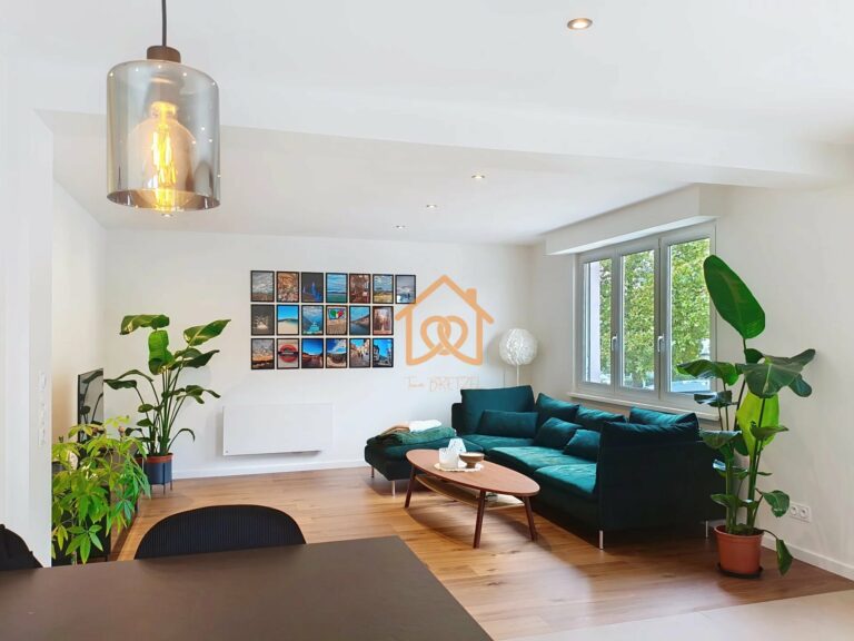 Bel appartement Schiltigheim. Quartier brasseur. CLIMATISE. REFAIT à neuf ! - Premi'home Agence immobilière Aix En Provence