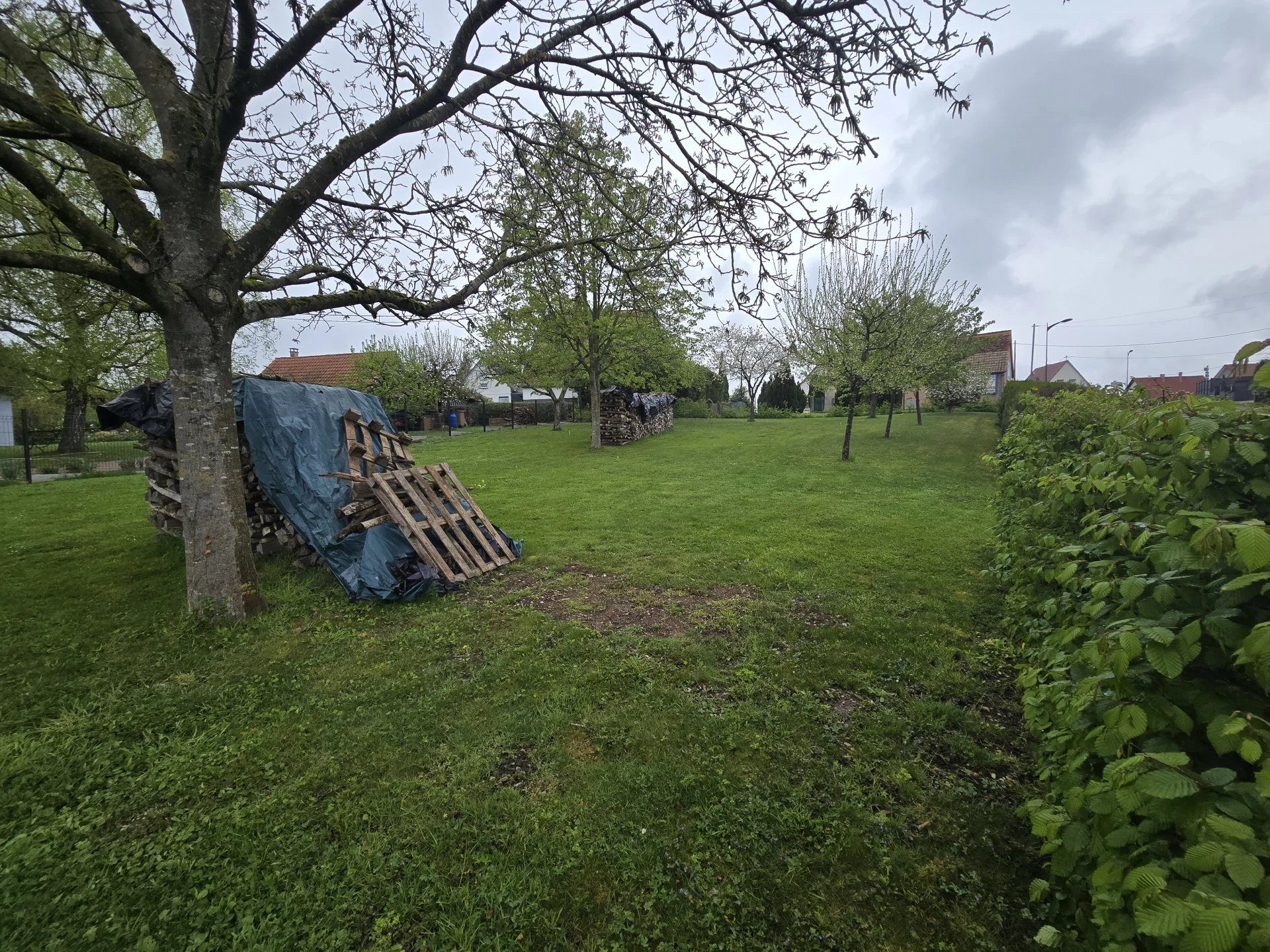 🏡 Terrain constructible à vendre – Walbourg (67360) - Premi'home Agence immobilière Aix En Provence