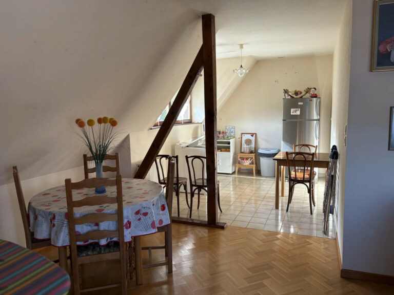 À vendre – Maison avec vue exceptionnelle à Schirmeck (Le Sa - Premi'home Agence immobilière Aix En Provence