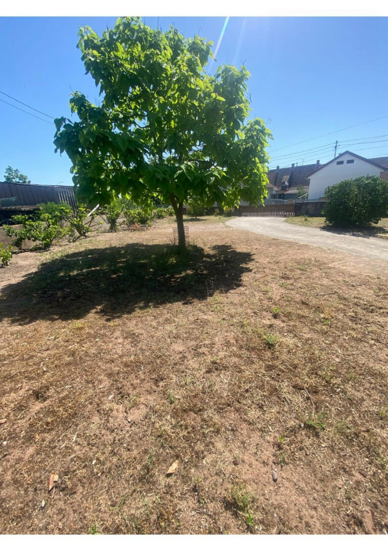 TERRAIN secteur Calme de Haguenau - Premi'home Agence immobilière Aix En Provence
