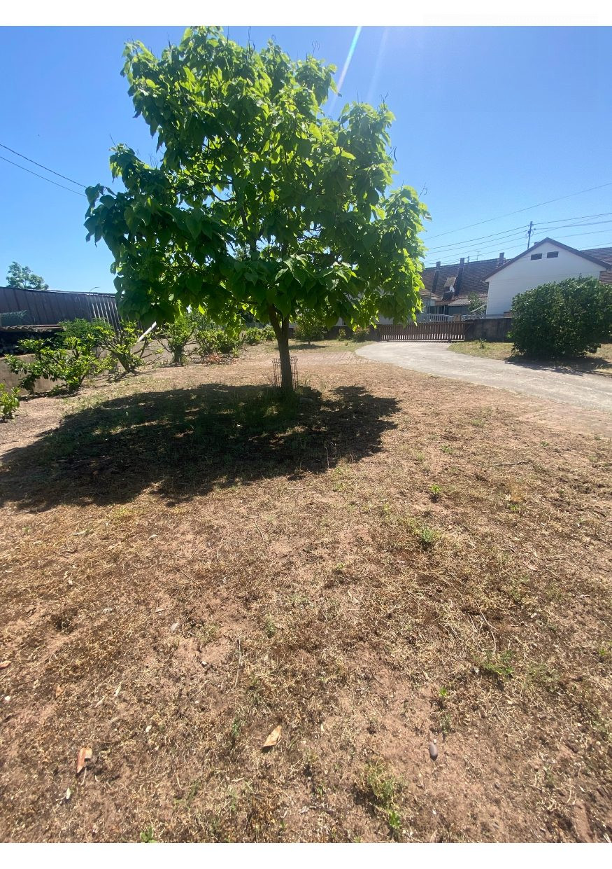 TERRAIN secteur Calme de Haguenau - Premi'home Agence immobilière Aix En Provence