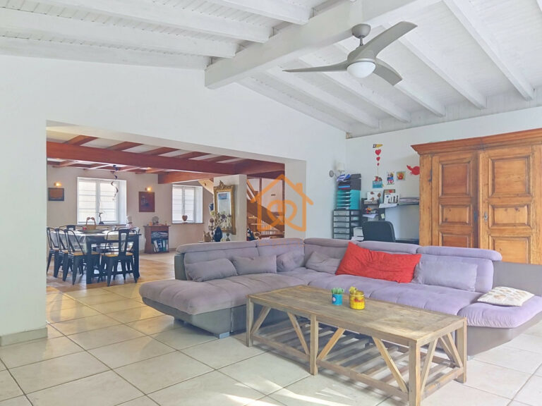 Haguenau — Maison de caractère de 214 m² sur 12,74 ares, cla - Premi'home Agence immobilière Aix En Provence